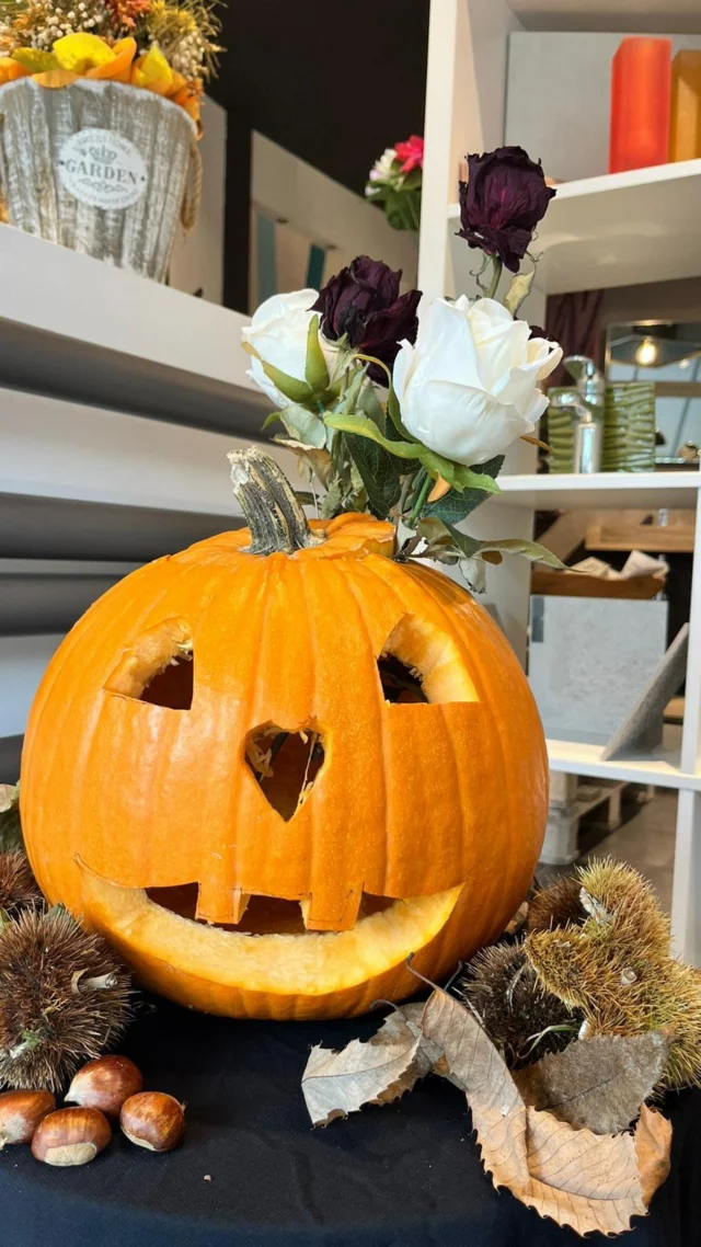 Quest’Halloween, trasforma il tuo bagno in un luogo incantato, dove la magia si incontra con il design più raffinato!

Happy Halloween 🎃👻🧙🏻

#tattiniidraulica1958 #ristrutturazione #ristrutturarecasa #impianti #impiantiidraulici #personalizzazione #materiali #colori #homedecoration #homedecor #renovationbathroom #bathroom #stylemyhome #styleinspiration #interiordesign #designinspiration #september #ceramicaitaliana #rubinetteriaitaliana #arredobagno #progettazione #rendering #3dmodel #idea #superfici #illuminazione #madeinitaly🇮🇹 #halloweenvibes